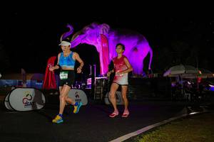 BIB: 
                            <button type="button" onclick="openModal(26543517)" class="btn btn-primary btn-sm float-right btn-popup" data-toggle="modal" data-target=".modal-high-quality">
                        <i class="fas fa-shopping-cart"></i> Add to Cart
                    </button>
                                            <button type="button" onclick="isThisMe(26543517, true)" class="btn btn-success btn-sm float-right btn-popup btn-isme hidden" data-toggle="tooltip" data-placement="bottom" title="นี่คือรูปของคุณใช่ไหม คลิกที่นี่เพื่อเอาเข้าอัลบั้ม">
                        <i class="fas fa-plus"></i> Add to album
                    </button>
                    <button type="button" onclick="isThisMe(26543517, false)" class="btn btn-warning btn-sm float-right btn-popup btn-isnotme hidden">
                        <i class="fas fa-ban"></i> Remove from album
                    </button>